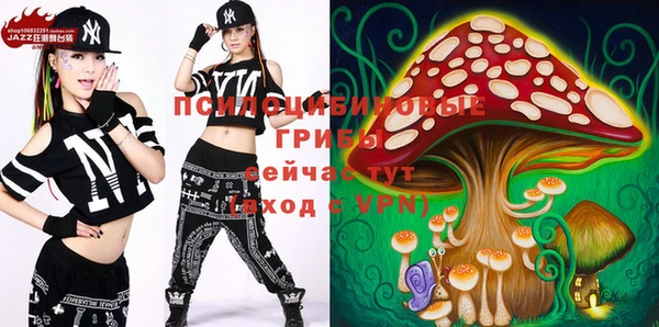PSILOCYBIN Балахна