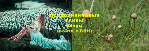 PSILOCYBIN Балахна
