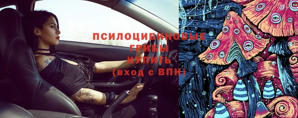 PSILOCYBIN Балахна