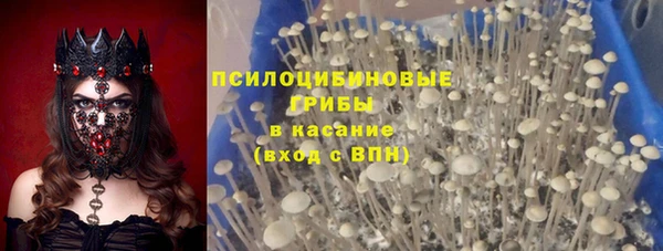 PSILOCYBIN Балахна