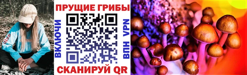 Галлюциногенные грибы ЛСД  как найти наркотики  Боготол 