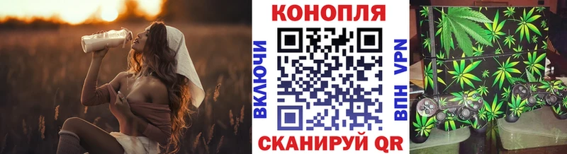 Марихуана Bruce Banner  Боготол 